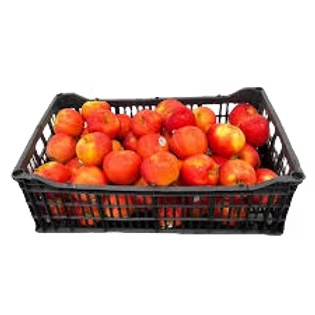 MANZANA GALA CAJA